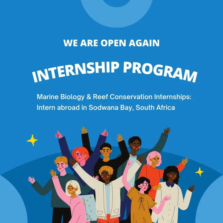 Marine Biology & Reef Conservation Internship in SA